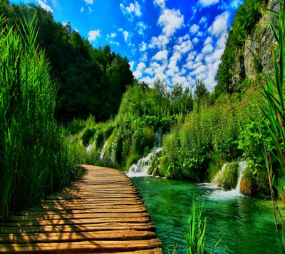 verde, lago, paisaje, naturaleza, camino