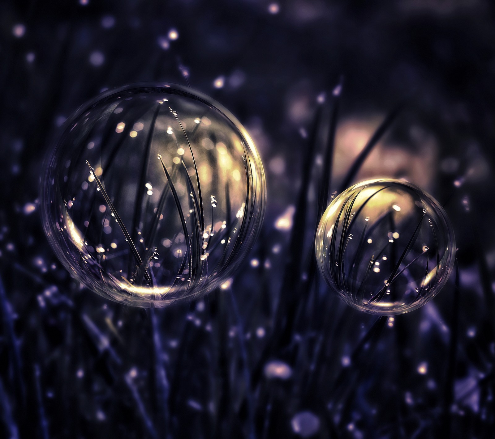 There are two bubbles that are floating in the air (bokeh, bubble, drop, grass, light)