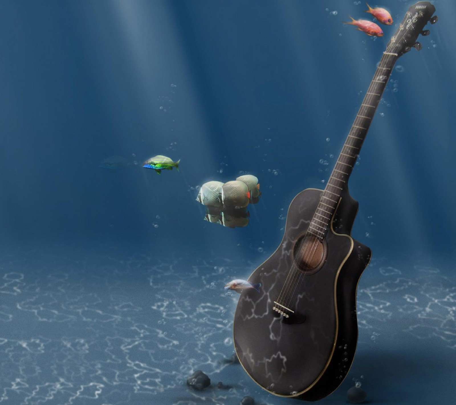 Há uma guitarra e um peixe na água com um fundo azul (legal, desenho, violão, hd, água)