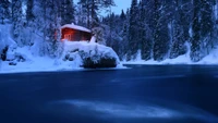 snow, water, building, plant, blue wallpaper