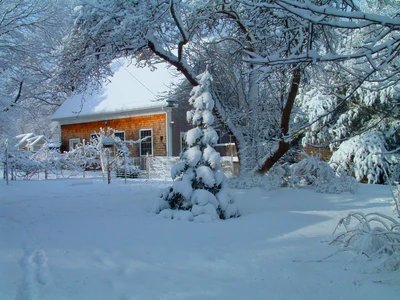 paisaje, nieve, invierno, escarcha, casa