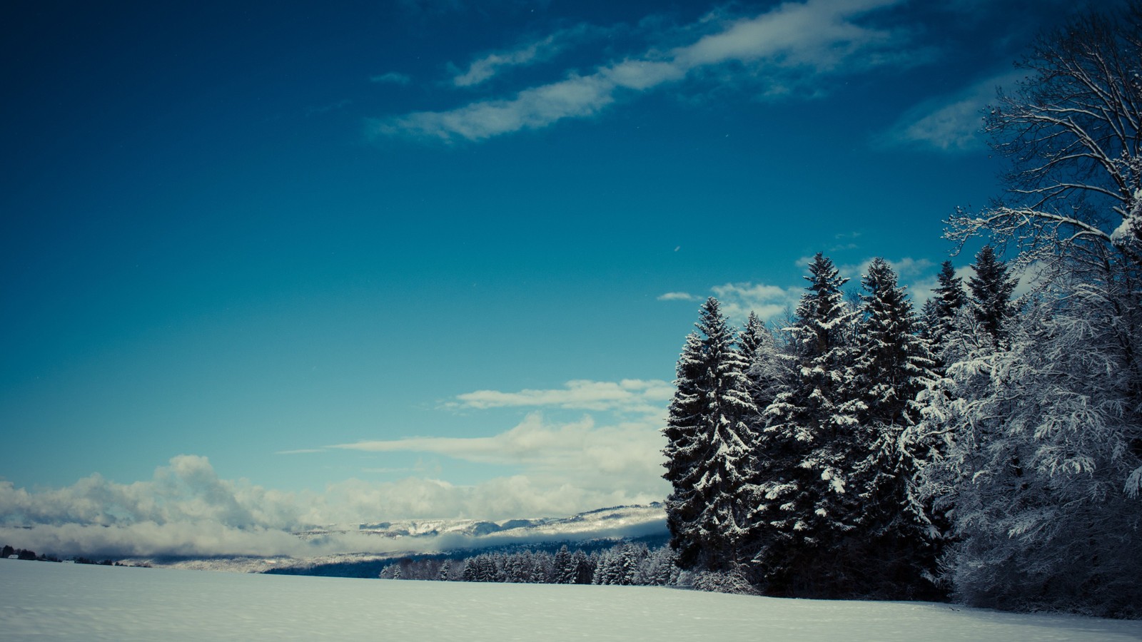 Descargar fondo de pantalla paisaje, nieve, invierno, naturaleza, árbol