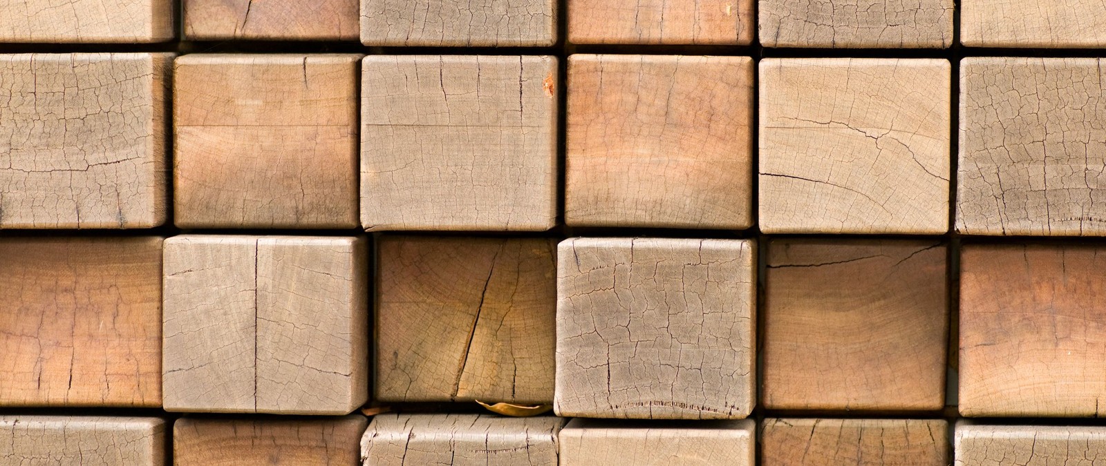 A close up of a pile of wood blocks with a small insect on top (wood, brown, rectangle, brick, brickwork)