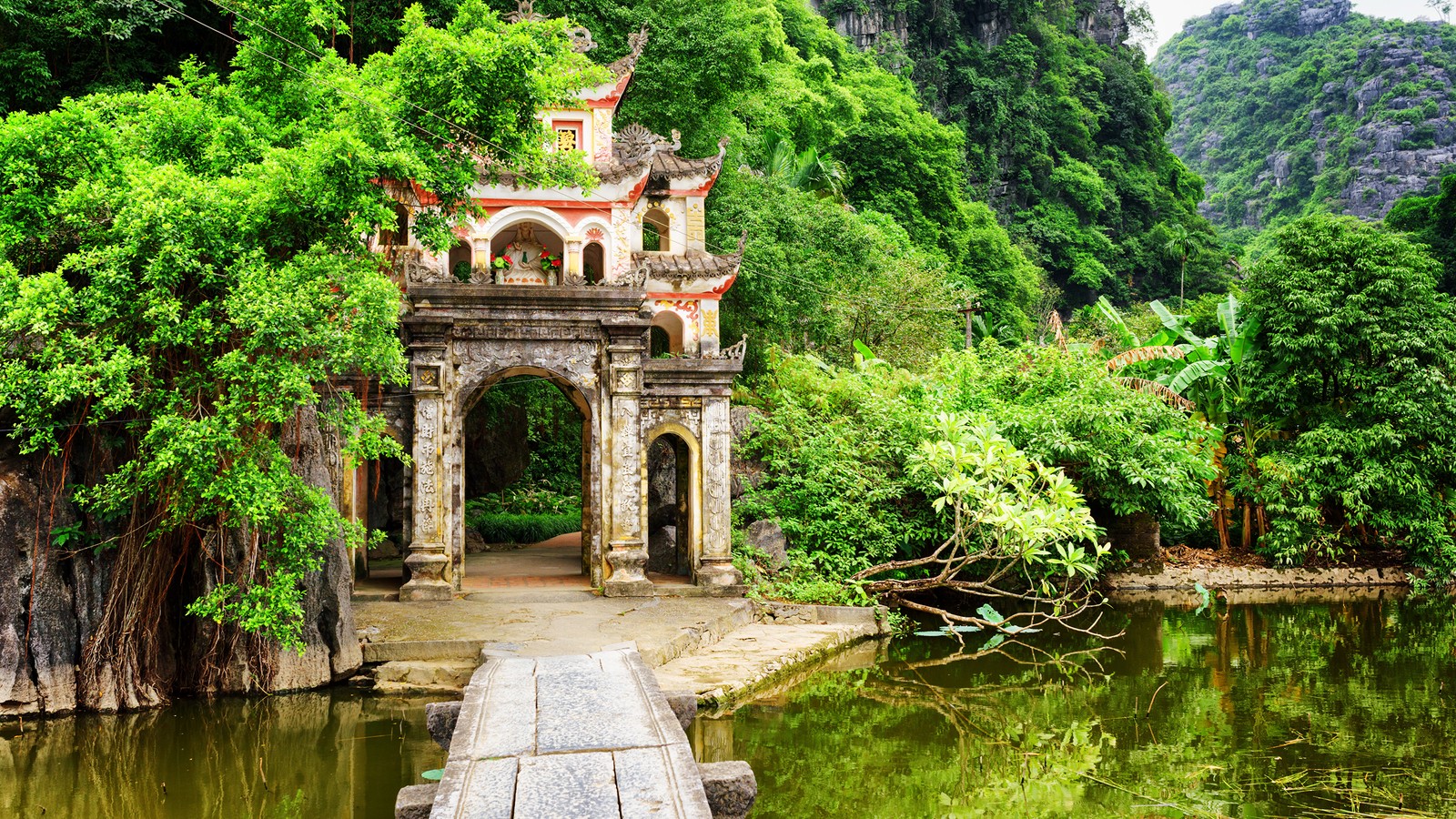 Une vue d'un pont au-dessus d'un petit étang dans une forêt (jardin, arbre, site historique, jardin botanique, cours deau)