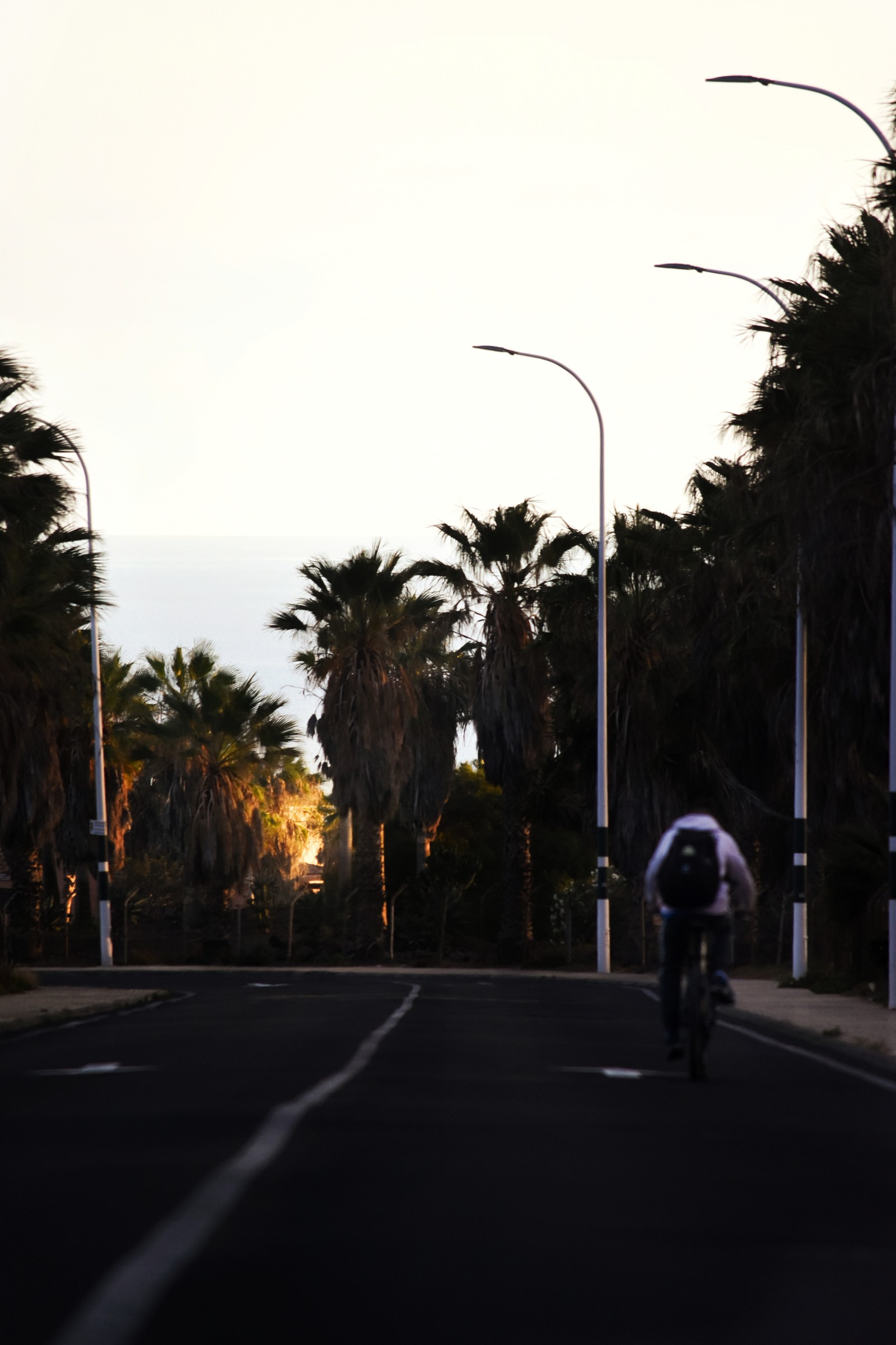 Un homme faisant du vélo dans la rue le soir (voie, arécales, arecales, route, roi)