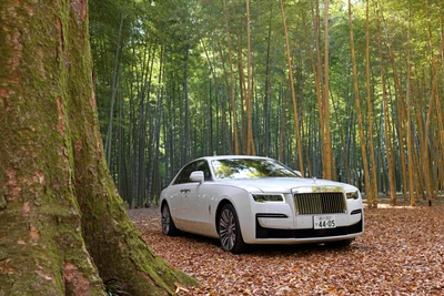 2021 Rolls Royce Ghost au milieu d'une forêt de bambous sereine