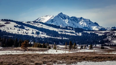 Schneebedeckte Berglandschaft unter klarem Himmel