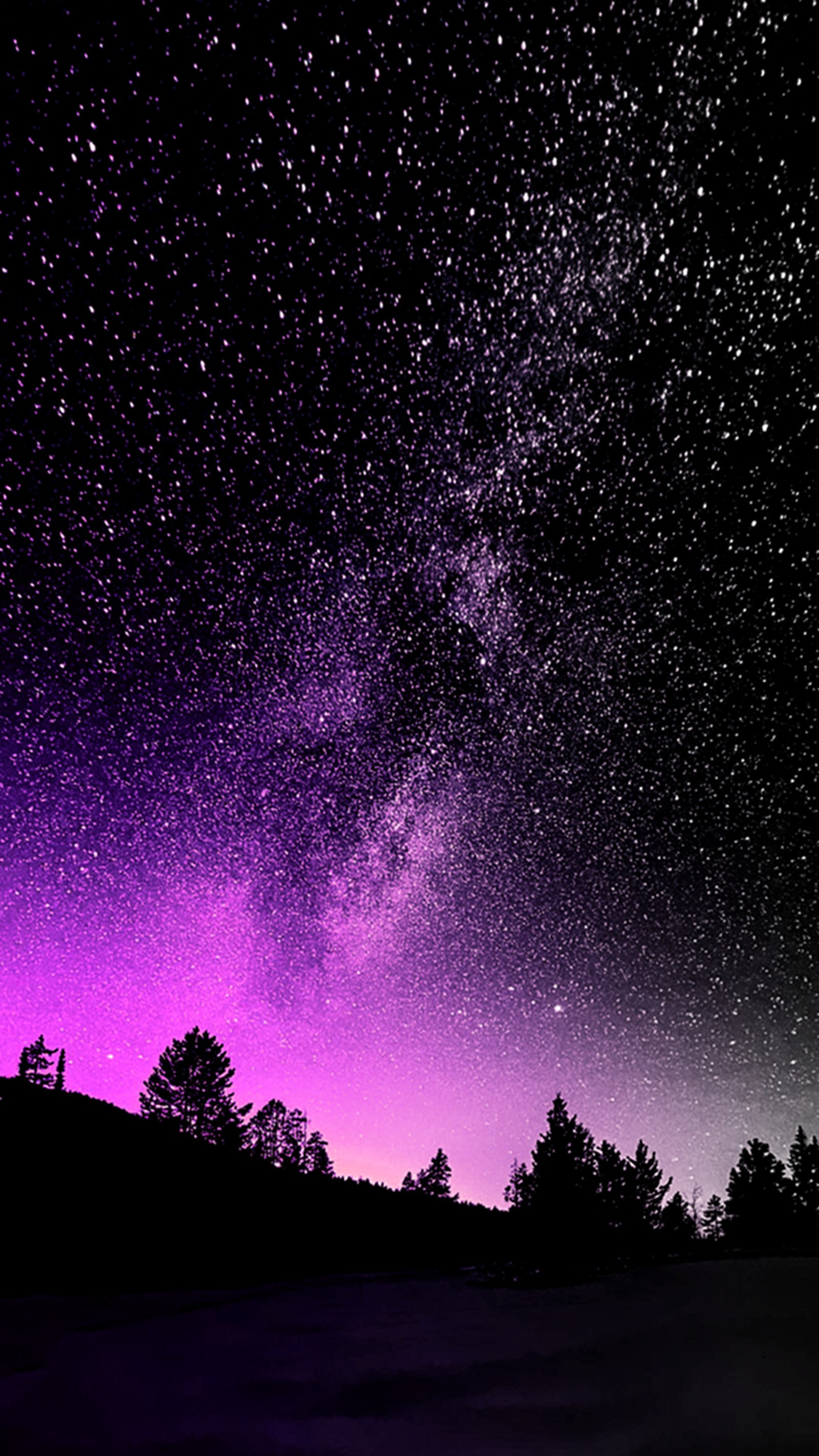 Cielo nocturno morado y negro con estrellas y árboles (noche, cielo, estrellado)