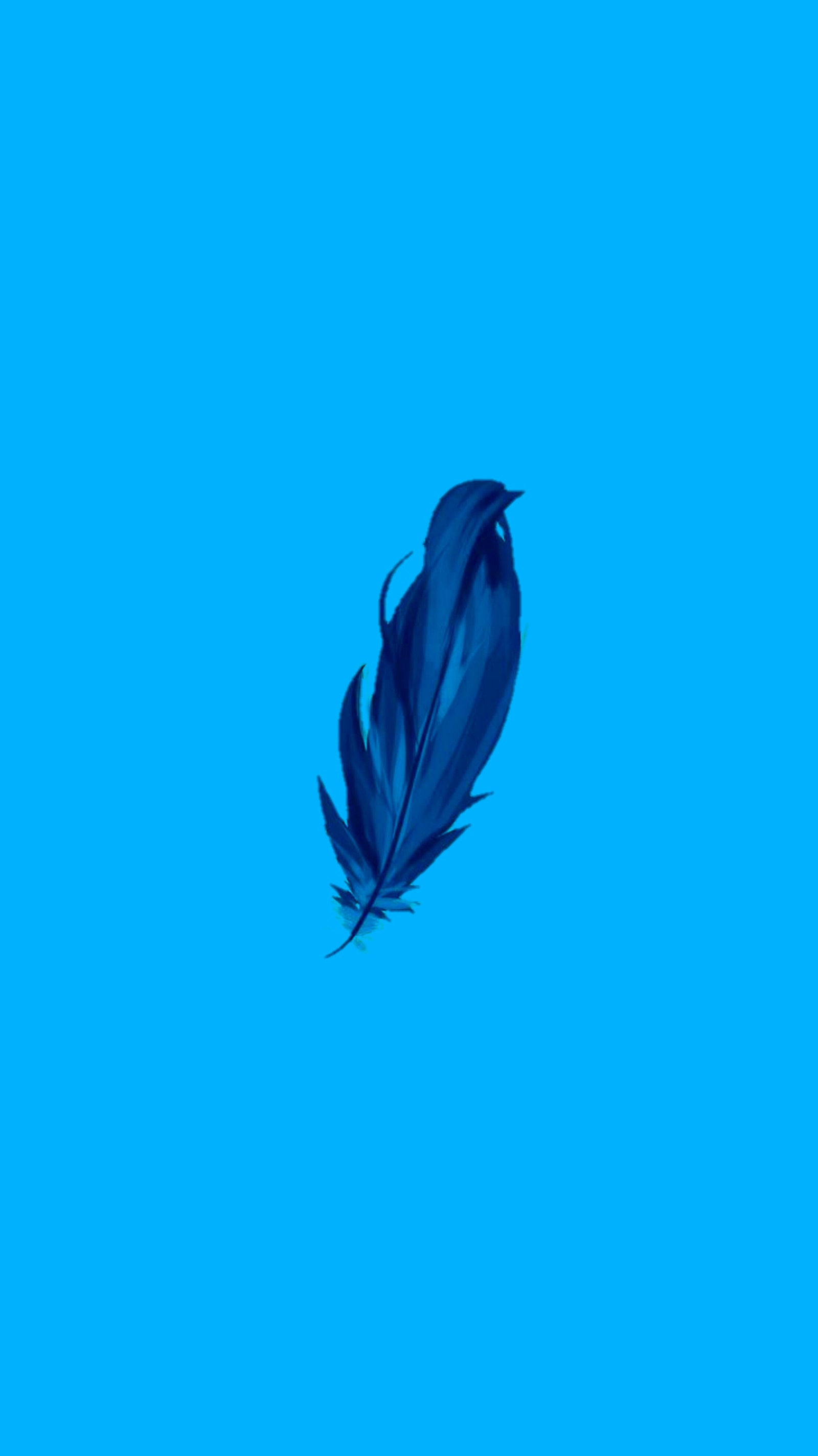 A close up of a blue feather floating in the air (feather, plume)