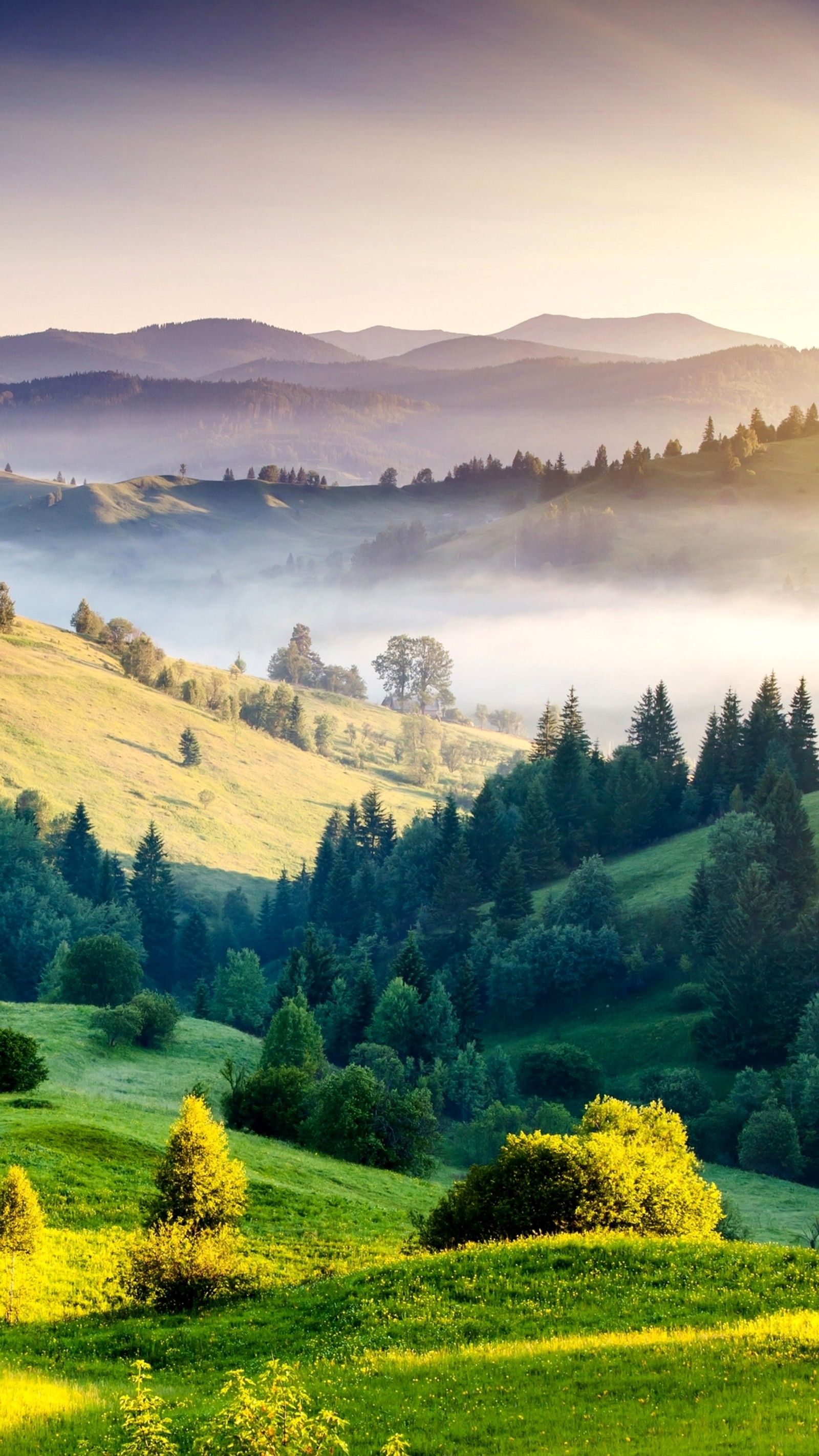 Vue aérienne d'une vallée verte avec quelques arbres et collines (brume, paysage, montagnes, nature, arbres)