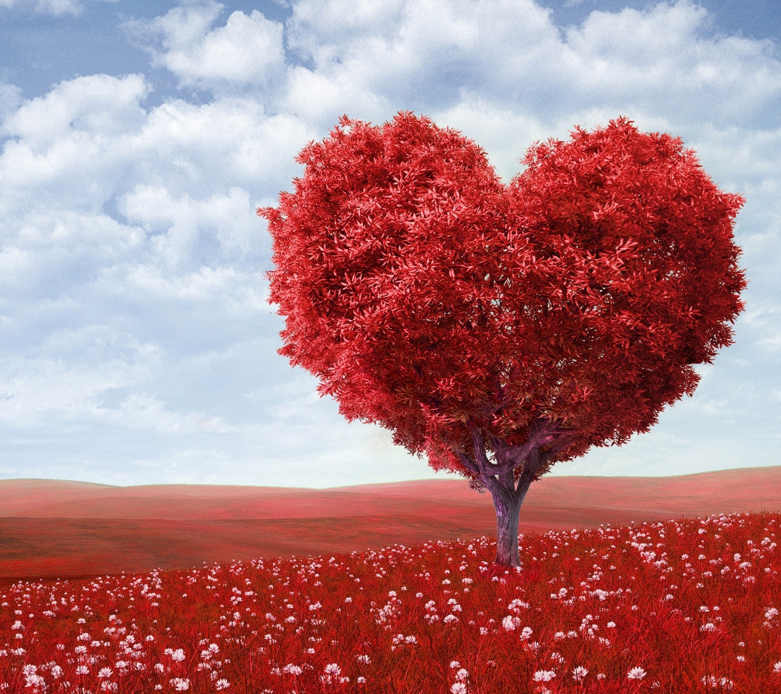 Arafed heart shaped tree in a field of flowers (edit, tree)