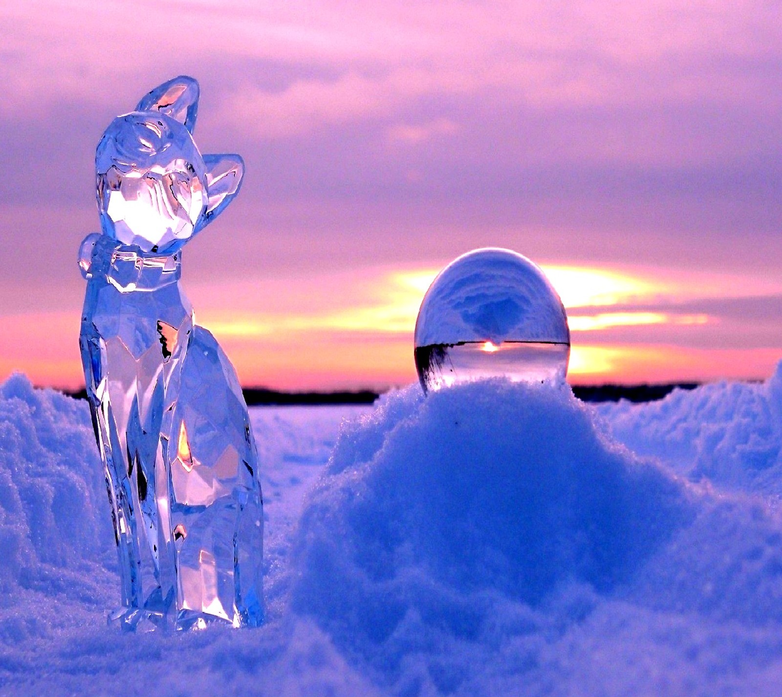 Скачать обои cat of ice