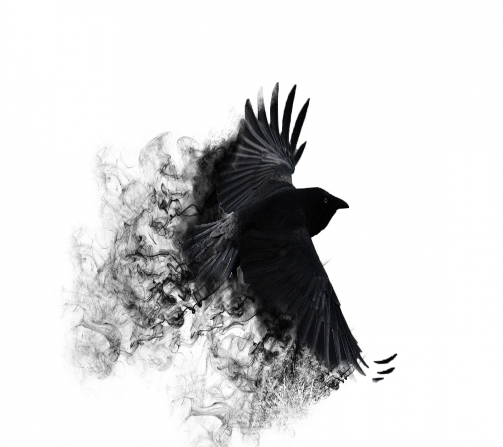 There is a black bird flying through the air with smoke (raven, wallpaper)