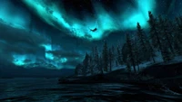 dragon, nature, aurora, darkness, night wallpaper