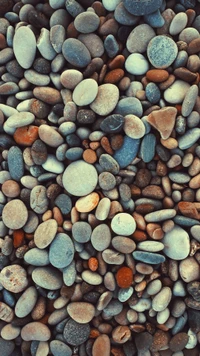 pebble, gravel, rock, plant, close up wallpaper