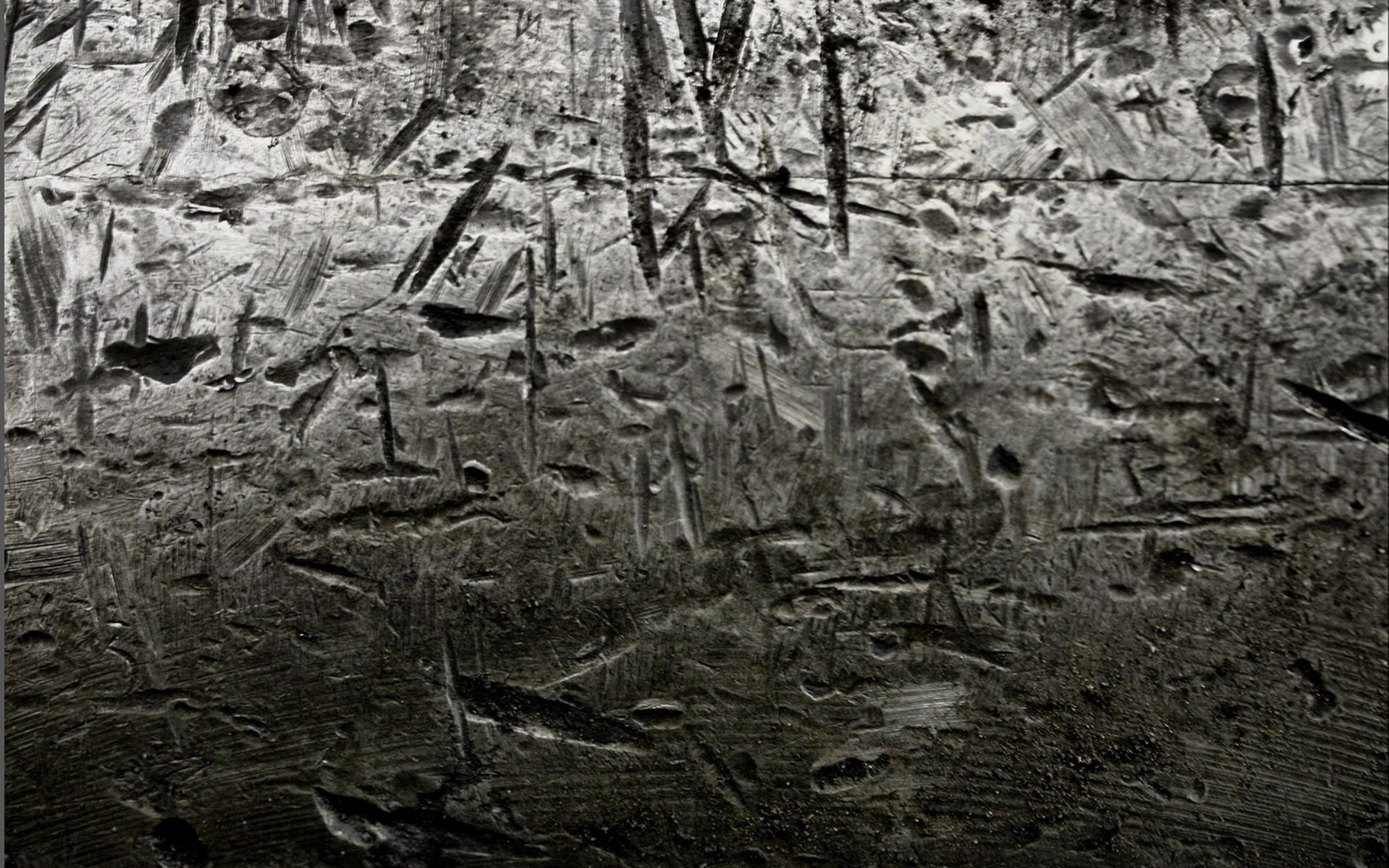 A close up of a black and white photo of a tree (texture, tree, branch, forest, rock)