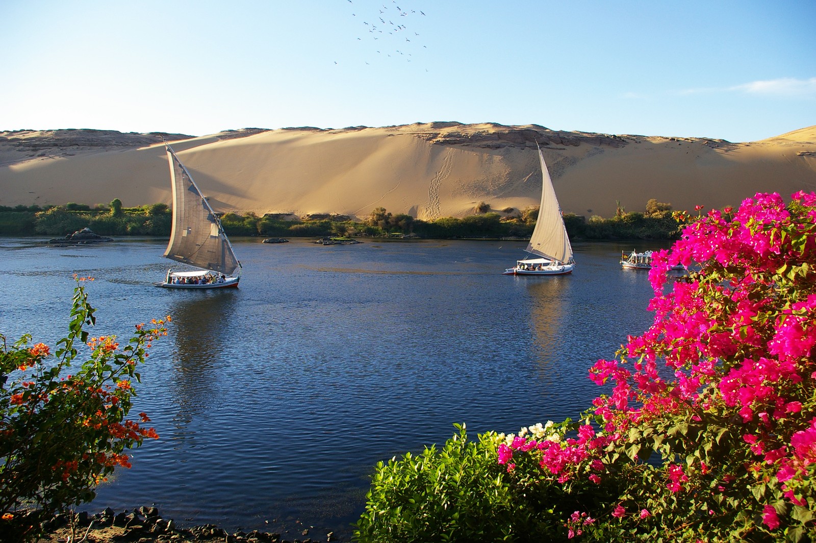 Existem dois barcos navegando na água (nilo, luxor, turismo, viagem, barco)