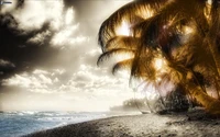 Sunlit Caribbean Shoreline with Palm Trees and Dramatic Sky