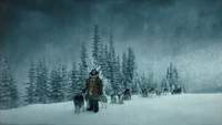 A solitary musher leads a team of sled dogs through a snowy landscape, surrounded by tall evergreen trees and a moody, overcast sky.