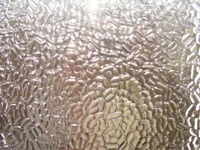 Frosted Glass Window with Intricate Coral-Like Patterns