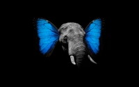 Elefante com asas de borboleta azul vibrante em fundo preto