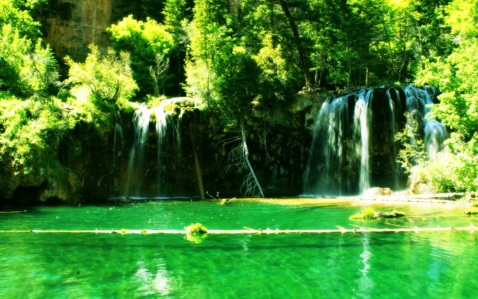 Gros plan d'une cascade dans une forêt avec de l'eau verte (nature, ressources en eau, plan deau, vert, eau)