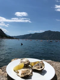 Austern mit Zitrone vor einer malerischen Fjordkulisse