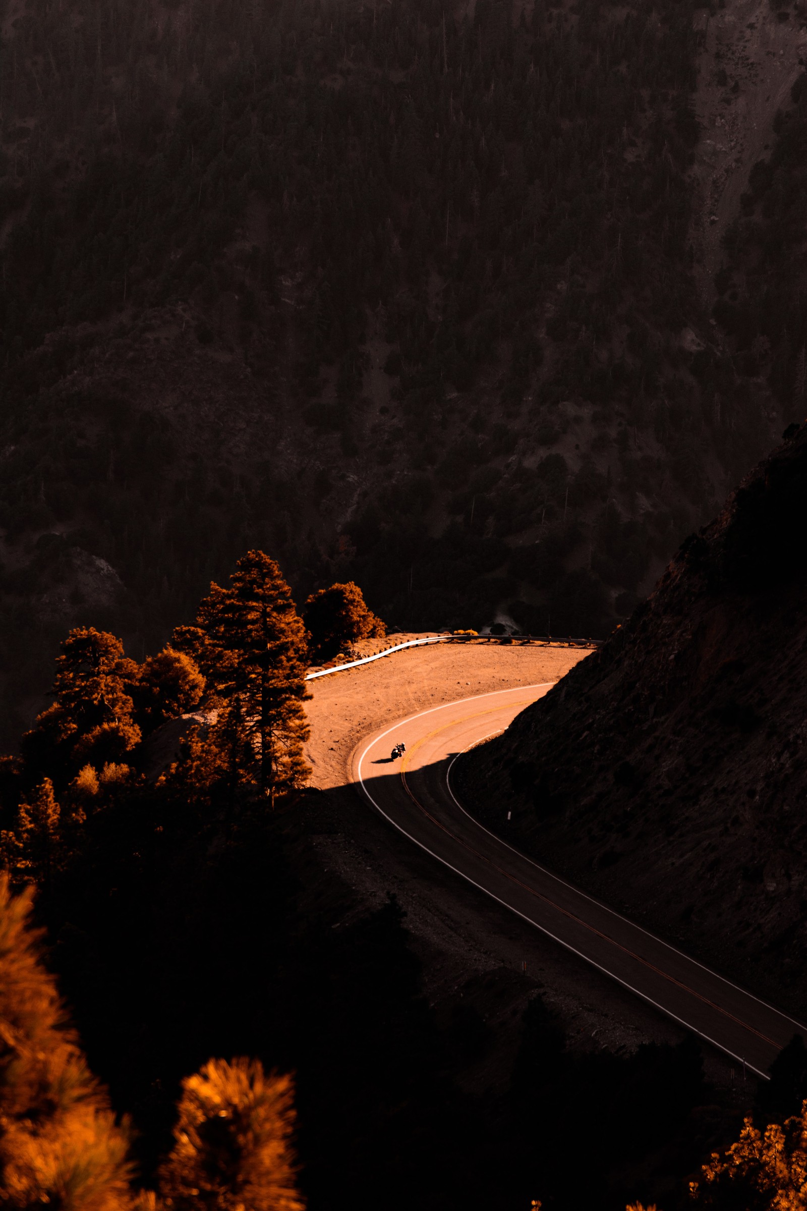 Hay un coche conduciendo por un camino sinuoso en las montañas. (cita, paisaje natural, planta, madera, pista)