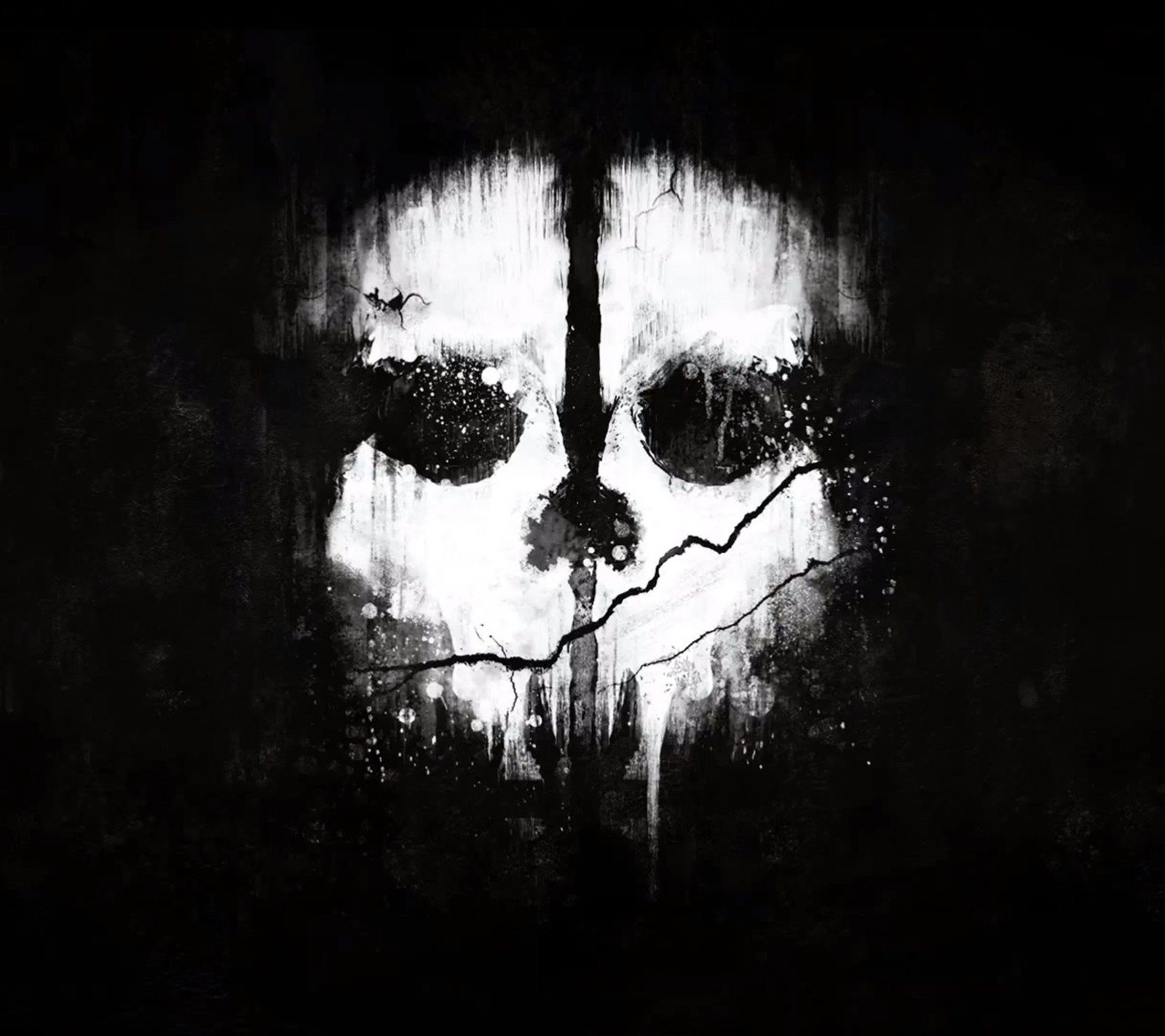 Un primer plano de una imagen en blanco y negro de un cráneo (call of duty, juego, fantasmas, nuevo, calavera)