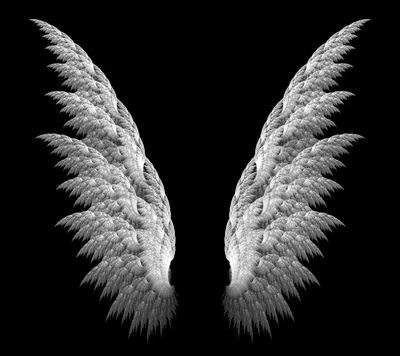 angel, black, white, wings