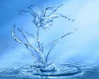 blue, drops, flower, splash, water wallpaper