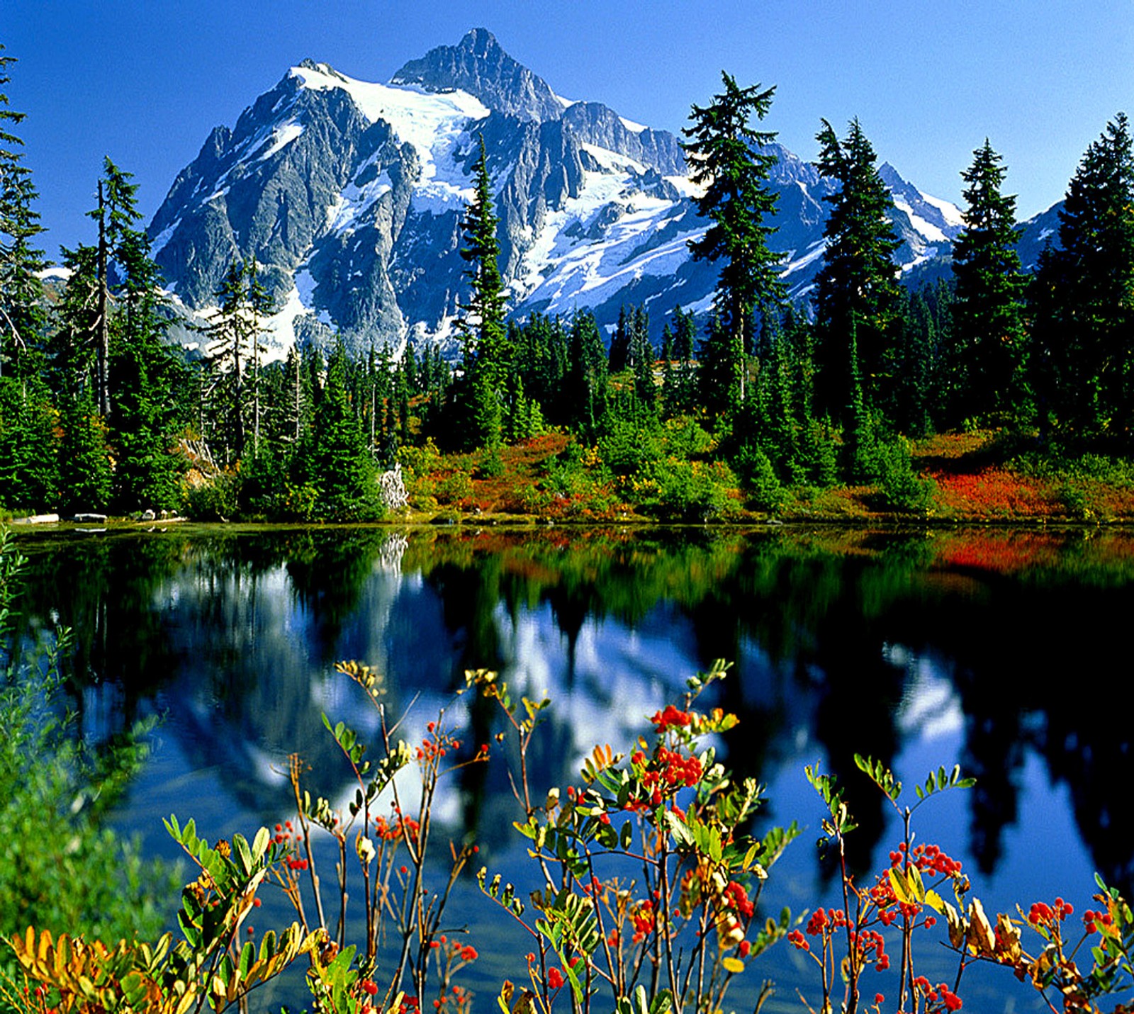 Mountains are reflected in a lake surrounded by trees and flowers (beautiful, nature)