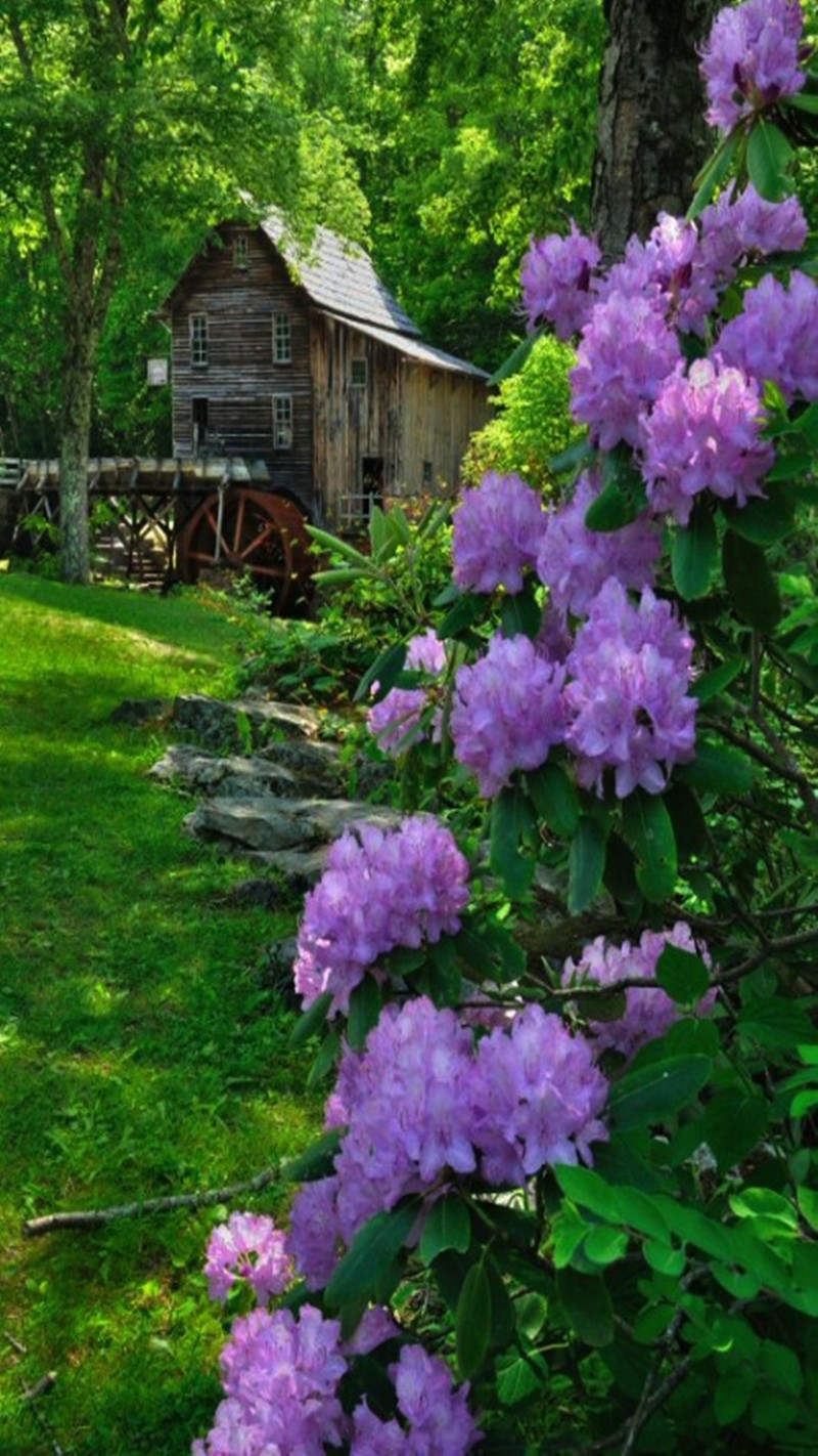 Téléchargez le fond d'écran paysage, violet