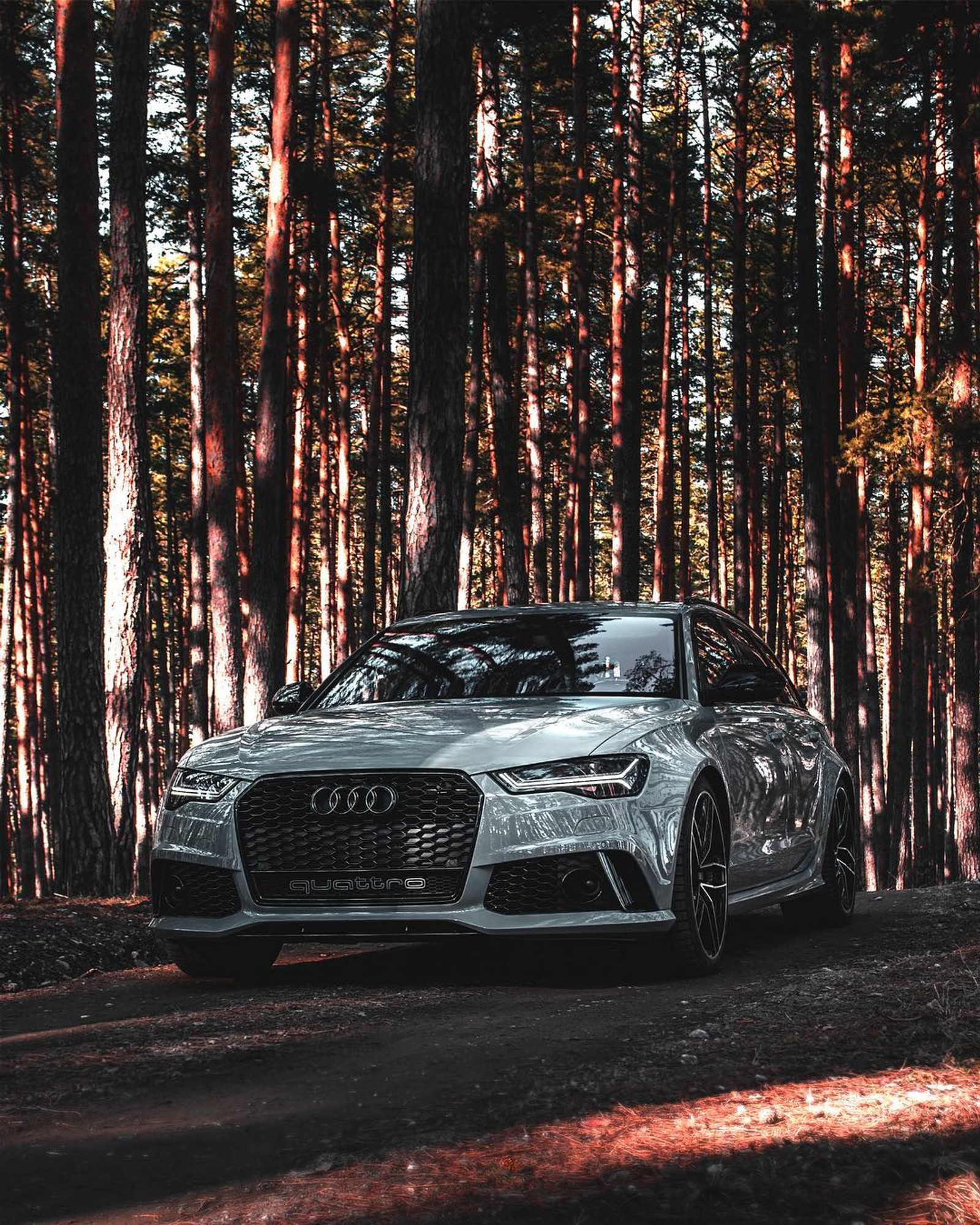 cars, sport, forest, motor, audi wallpaper