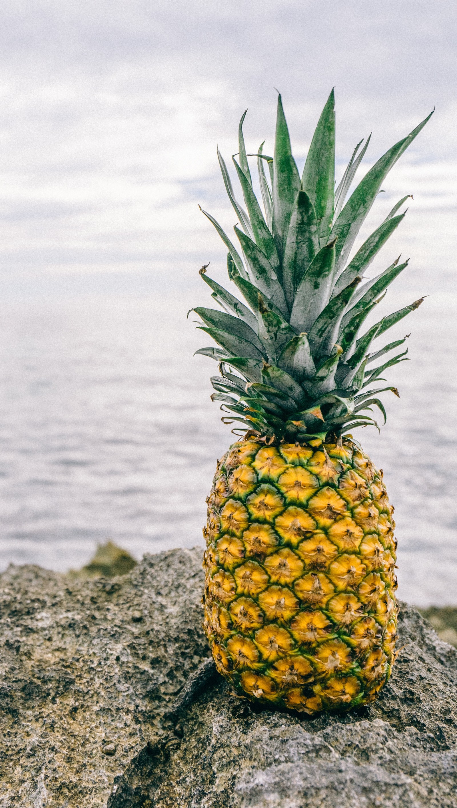 Baixar papel de parede anana, legal