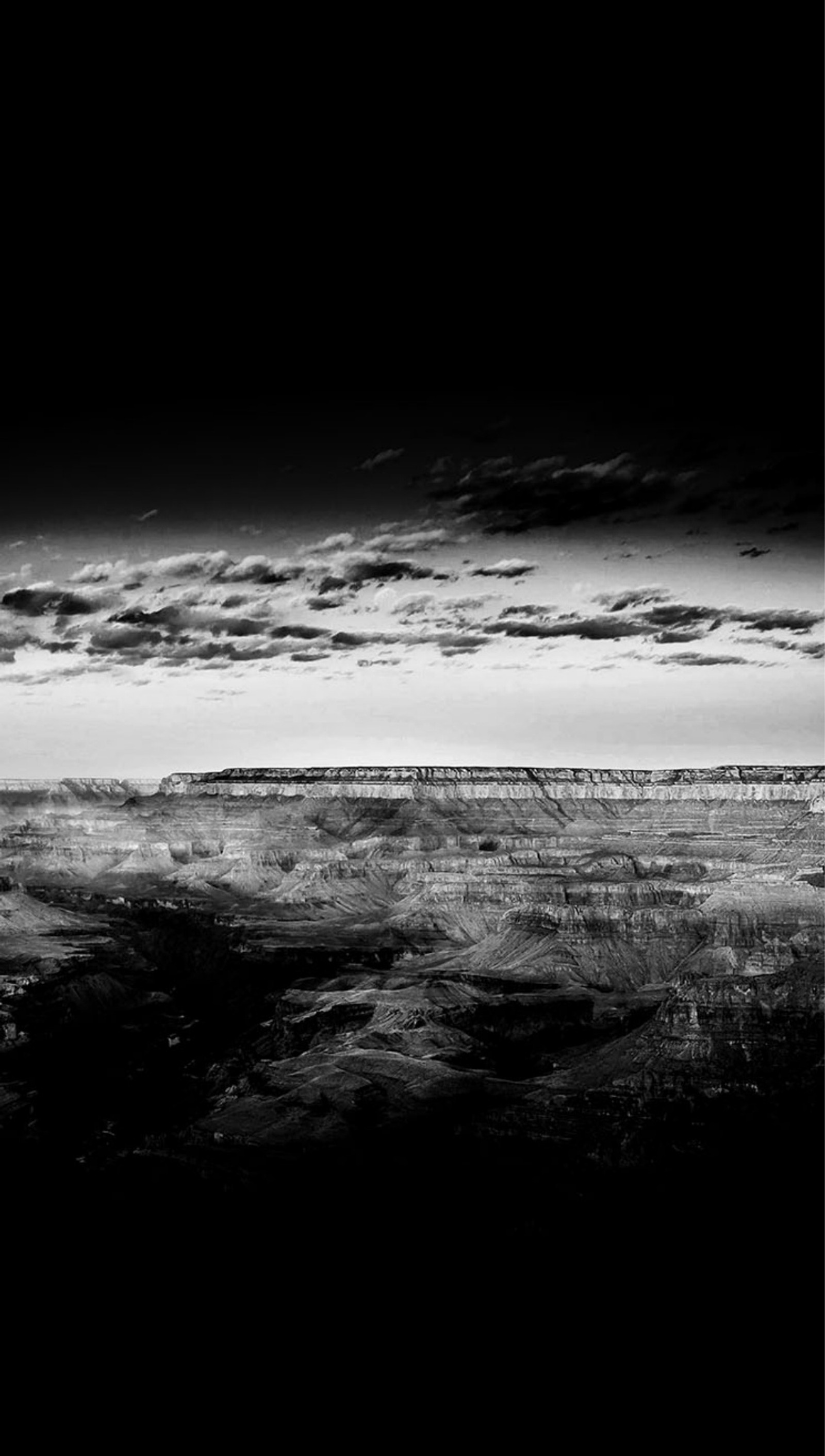 Arafed view of a black and white landscape with a lone tree (and, apple, black, canyon, dark)