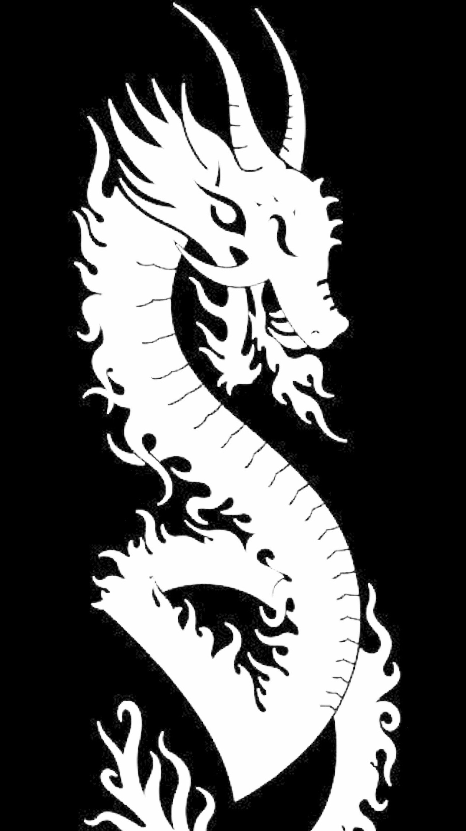 A white dragon on a black background with a white background (black, dragon)