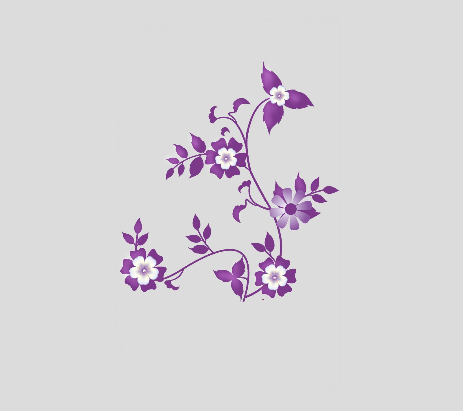 Flores roxas e folhas em um fundo branco (design, flor, roxo)