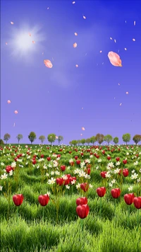 Vibrant Flower Field Under a Sunny Sky