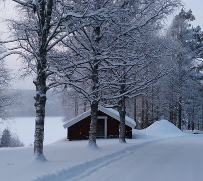 natureza, neve, inverno