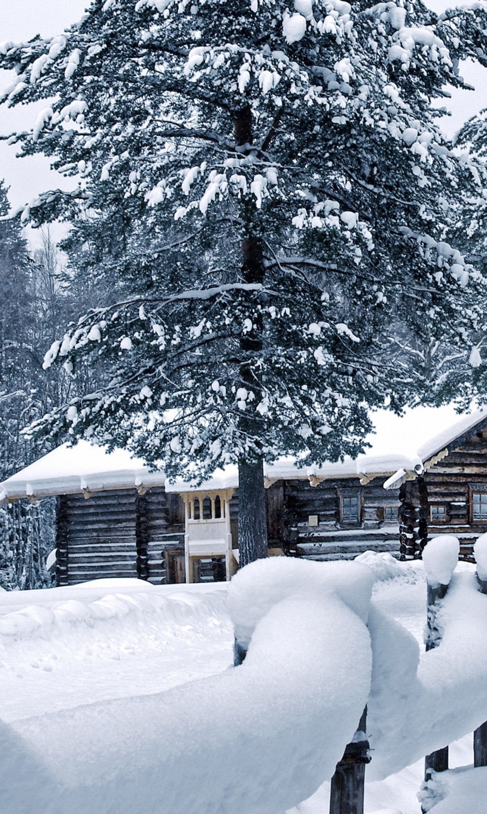 Un chalet enneigé dans les bois avec une clôture et un arbre (génial, sympa)