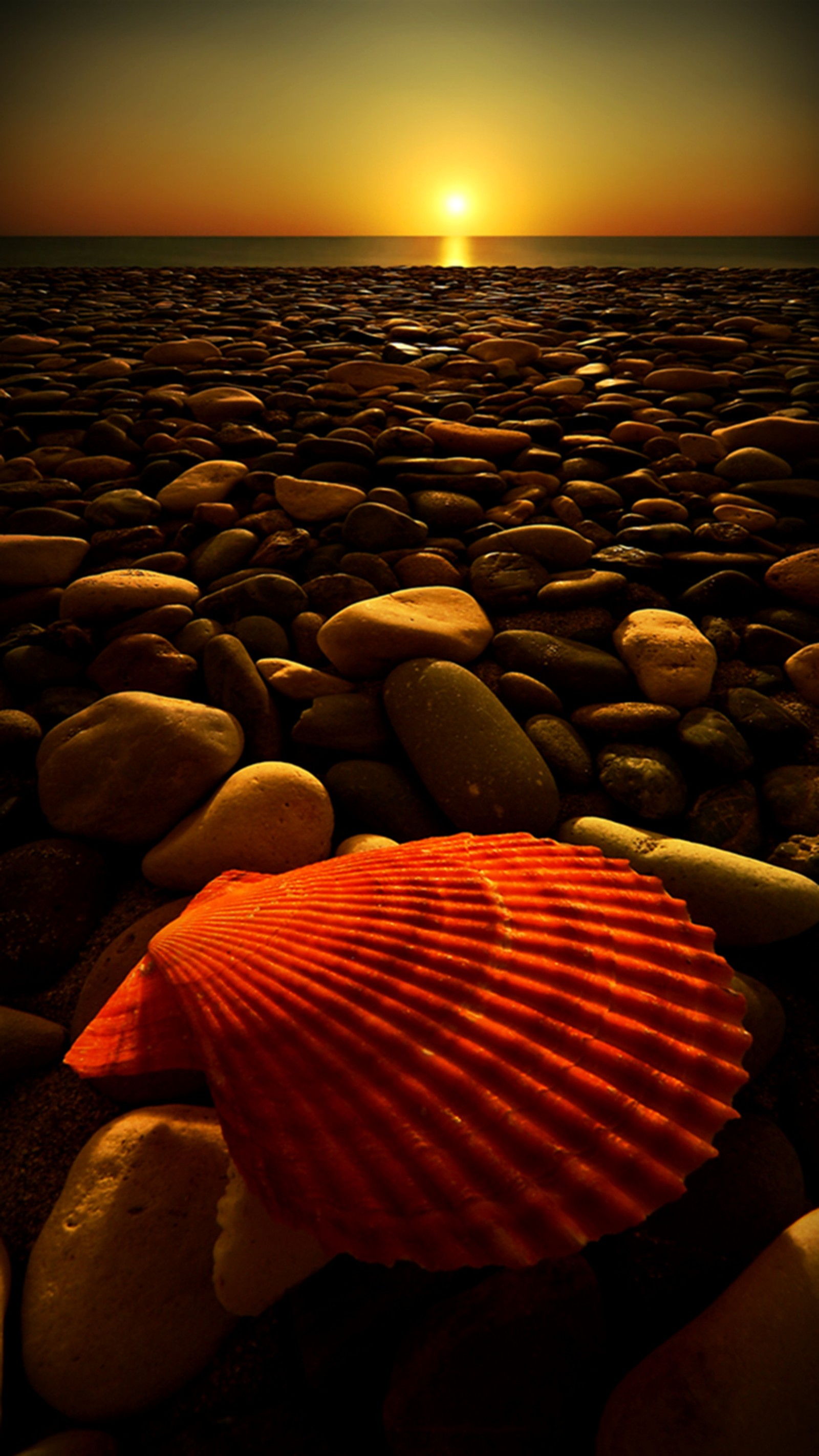 Concha árabe em uma praia com pedras e um pôr do sol (praia, por do sol)