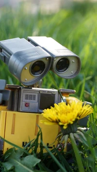 Wall-E unter Löwenzahnen