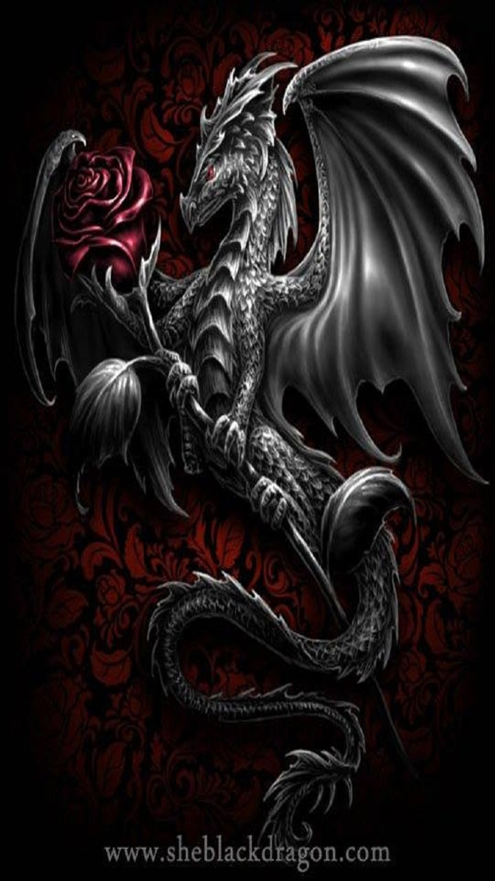 Un dragon noir et blanc avec une rose sur le dos (dragon noir, dragon, amour, rouge, rose rouge)