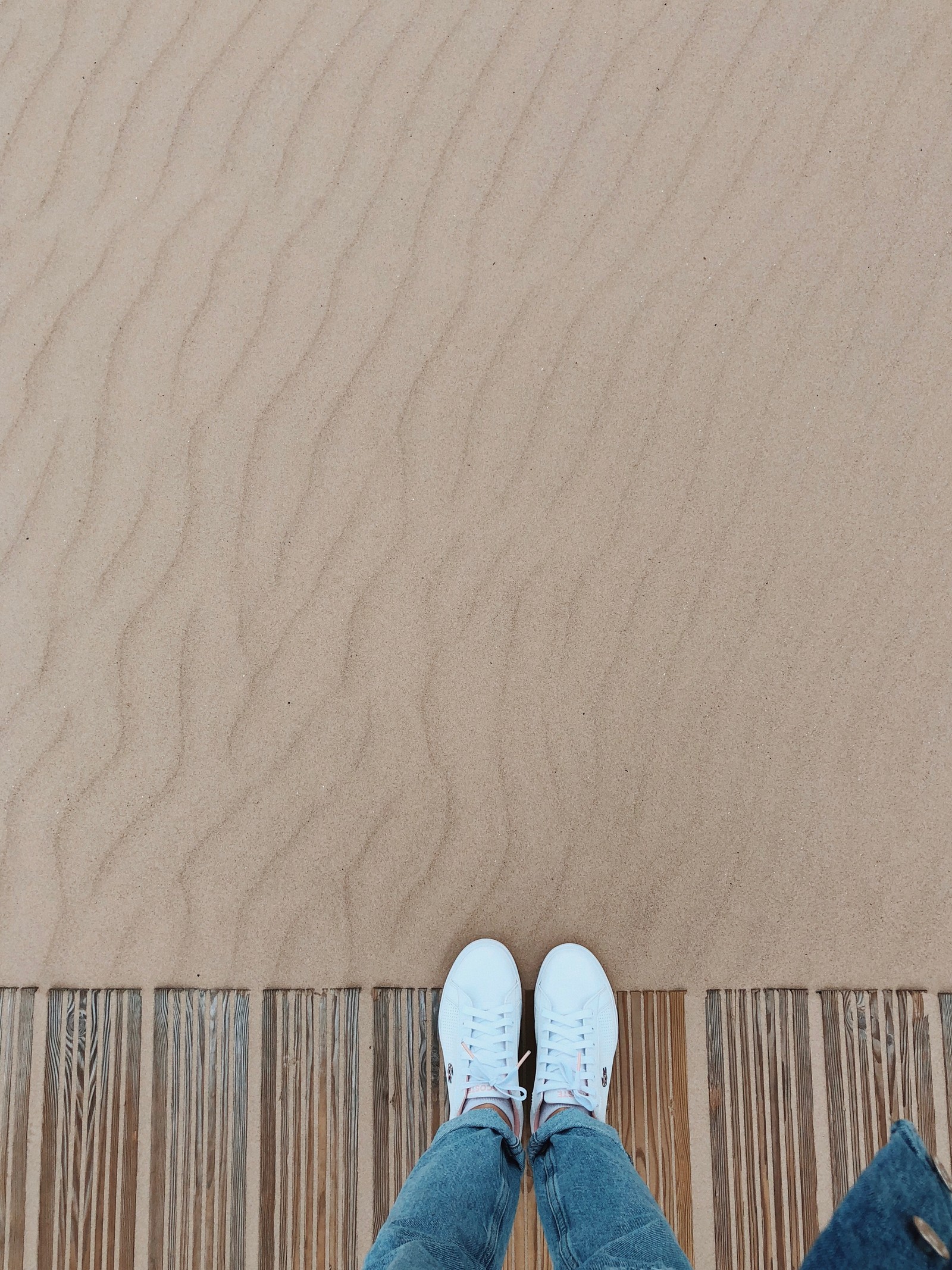 Girafes debout sur une plateforme en bois devant une plage de sable (sable, humain, jambe, marron, environnement naturel)