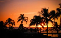 Atardecer tropical sobre la playa de Oahu y palmeras