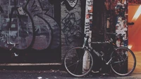 bicycle, mountain bike, bicycle wheel, street art, wall wallpaper