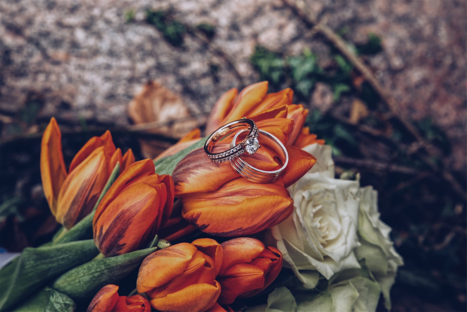 Há duas alianças em cima de um buquê de flores (anel, ramalhete de flores, casamento, flor, anel de noivado)