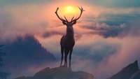 reindeer, mountain, fog, scenery, photograpy wallpaper