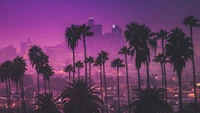 Crepúsculo roxo sobre o centro de Los Angeles com palmeiras